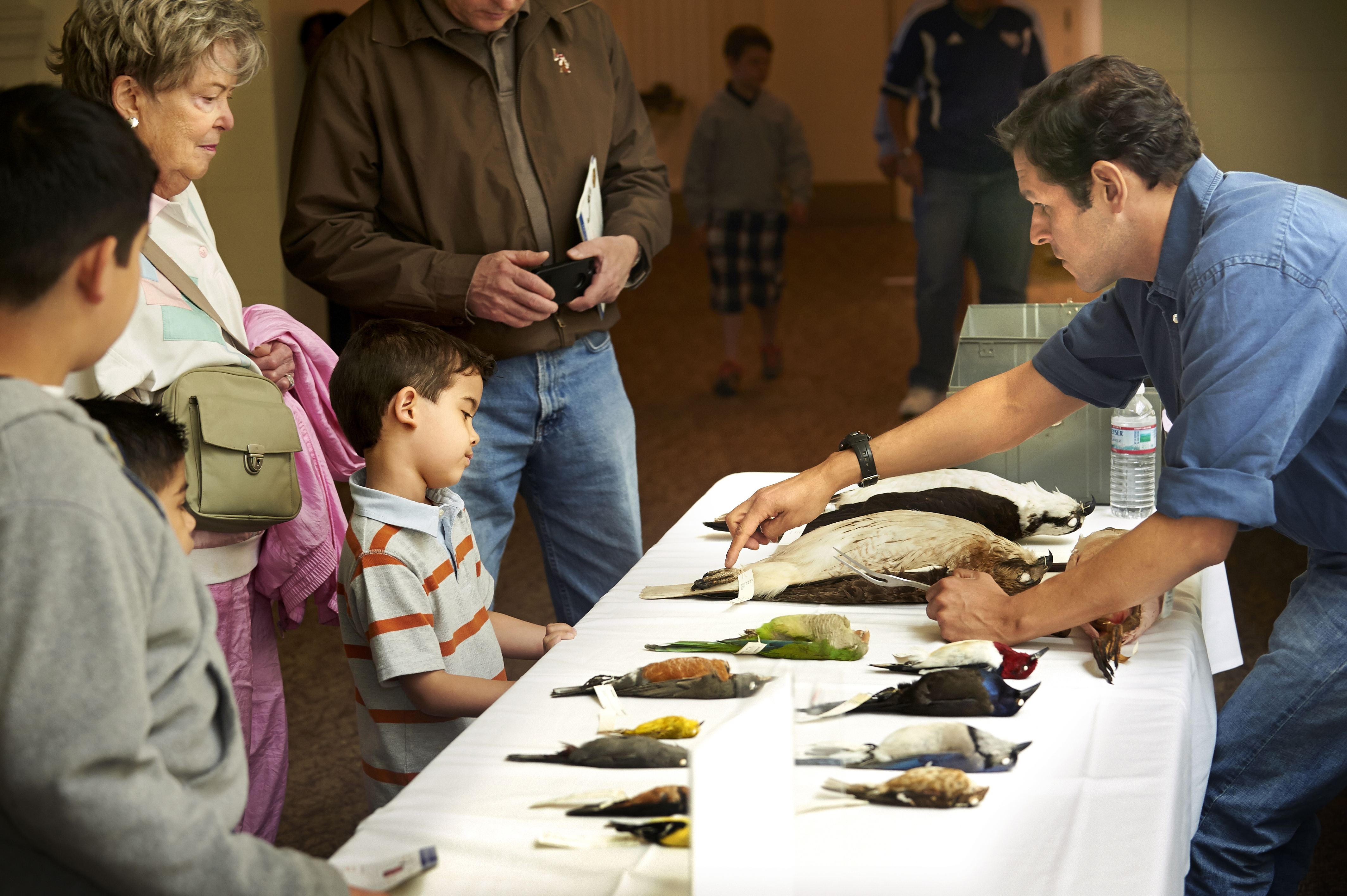 A Field Museum staff member shows bird specimens from the Museum’s collection to a group of visitors.