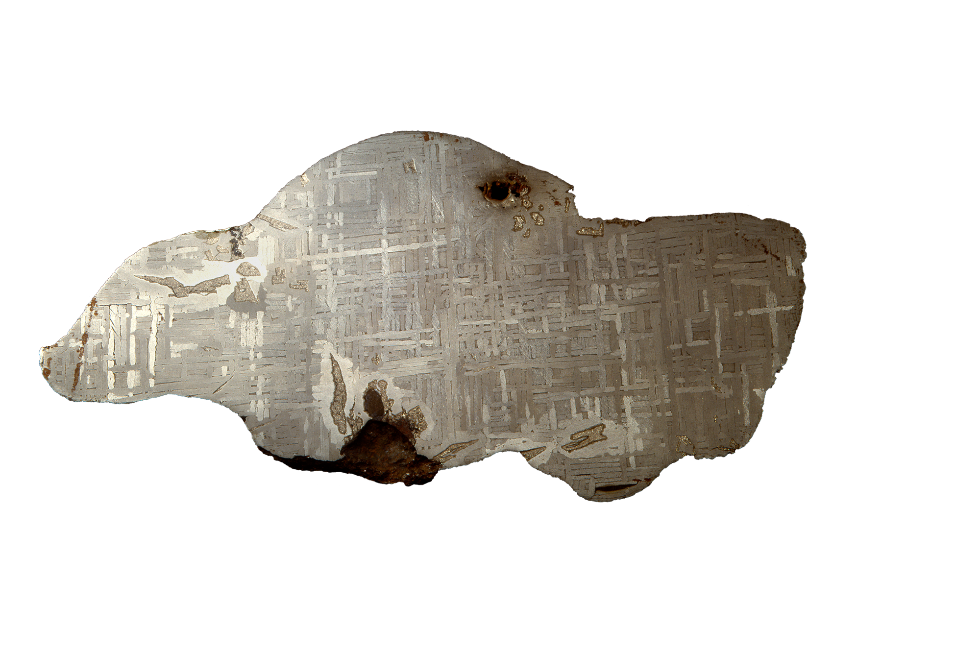 Meteorite slice Geology specimen ME