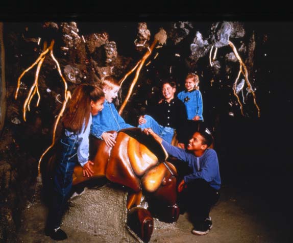 Children with cicada in Underground Adventure exhibit.Credit Information:© 1998 The Field MuseumID# GN89056_3cPhotographer: George Papadakis