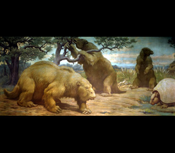 Three nearly elephant-sized ground sloths, Megatherium dominate this Charles Knight painting. One reaches up to pulls leaves from a tree, while an armadillo-like Glyptodon stands to the right.