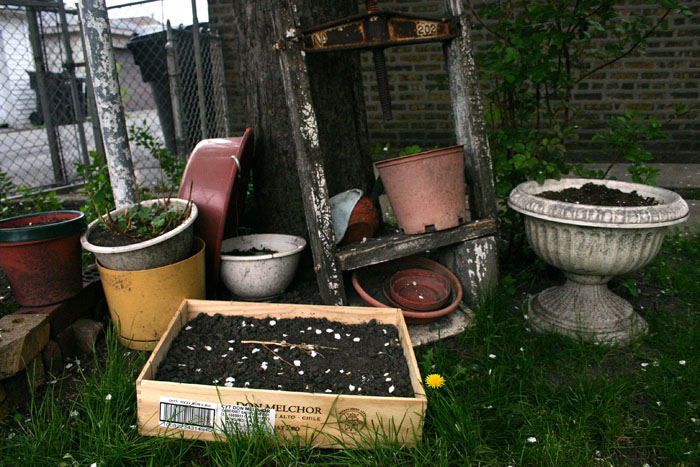 ECCo’s third inventory was with the Polish community. Findings revealed that many Polish residents maintain the longstanding tradition of gardening, sometimes using pots and planters to keep small container gardens where green space is limited.