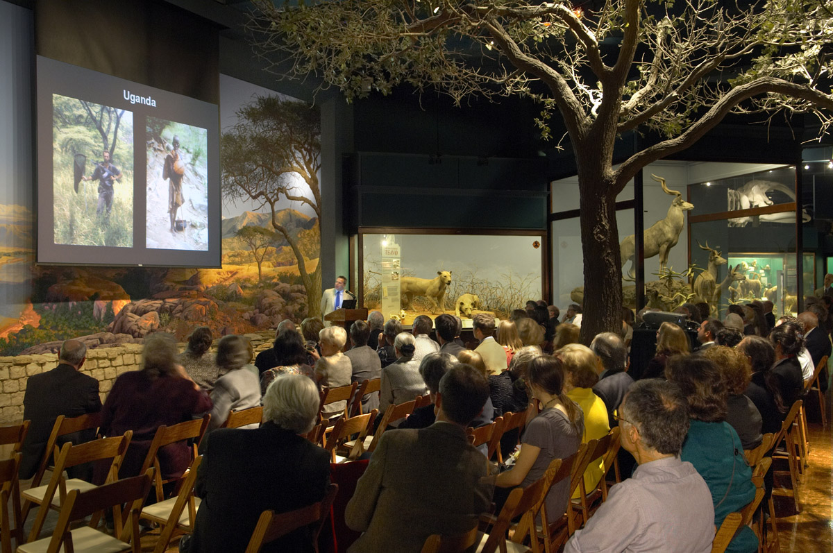 A speaker stands at a podium and addresses a seated group gathered in Rice Hall. A projected presentation is displayed to the audience on the space’s back wall to the speaker’s right. A diorama displaying the Tsavo Lions is on the speaker’s left.