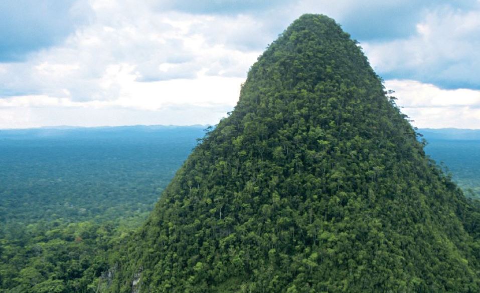 On the cover of the summer 2016 In The Field, an extinct volcano known as “El Cono,” rising above the Amazonian plain, symbolizes Peru’s new Sierra del Divisor National Park.