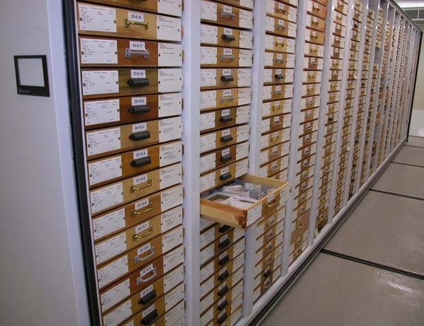 Image for How much of the Field Museum’s collection is actually on display?