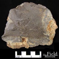 Image for Google Earth Meteorite Gebel Kamil donated to the Field Museum