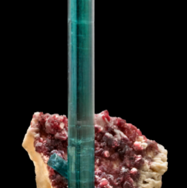 Natural crystals of blue Elbaite Tourmaline (indicolite) embedded in n lepidolite and Albite matrix. This specimen is 160 mm in height