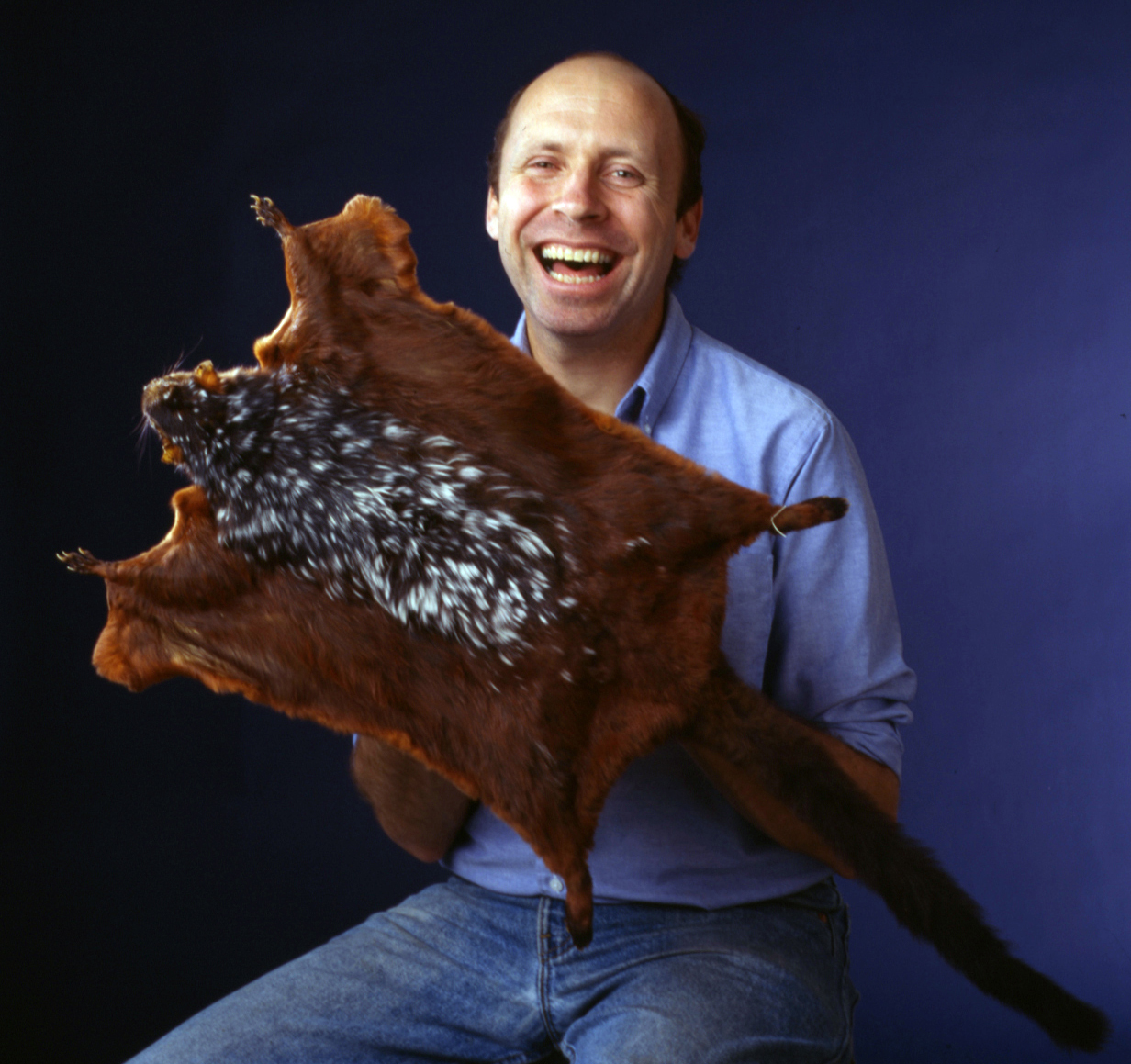 One of Bill’s favorite teaching tools, the skin of a gigantic flying squirrel (Petaurista elegans) from Borneo (1996). Field Museum photo by John Weinstein.  GN87769_3c