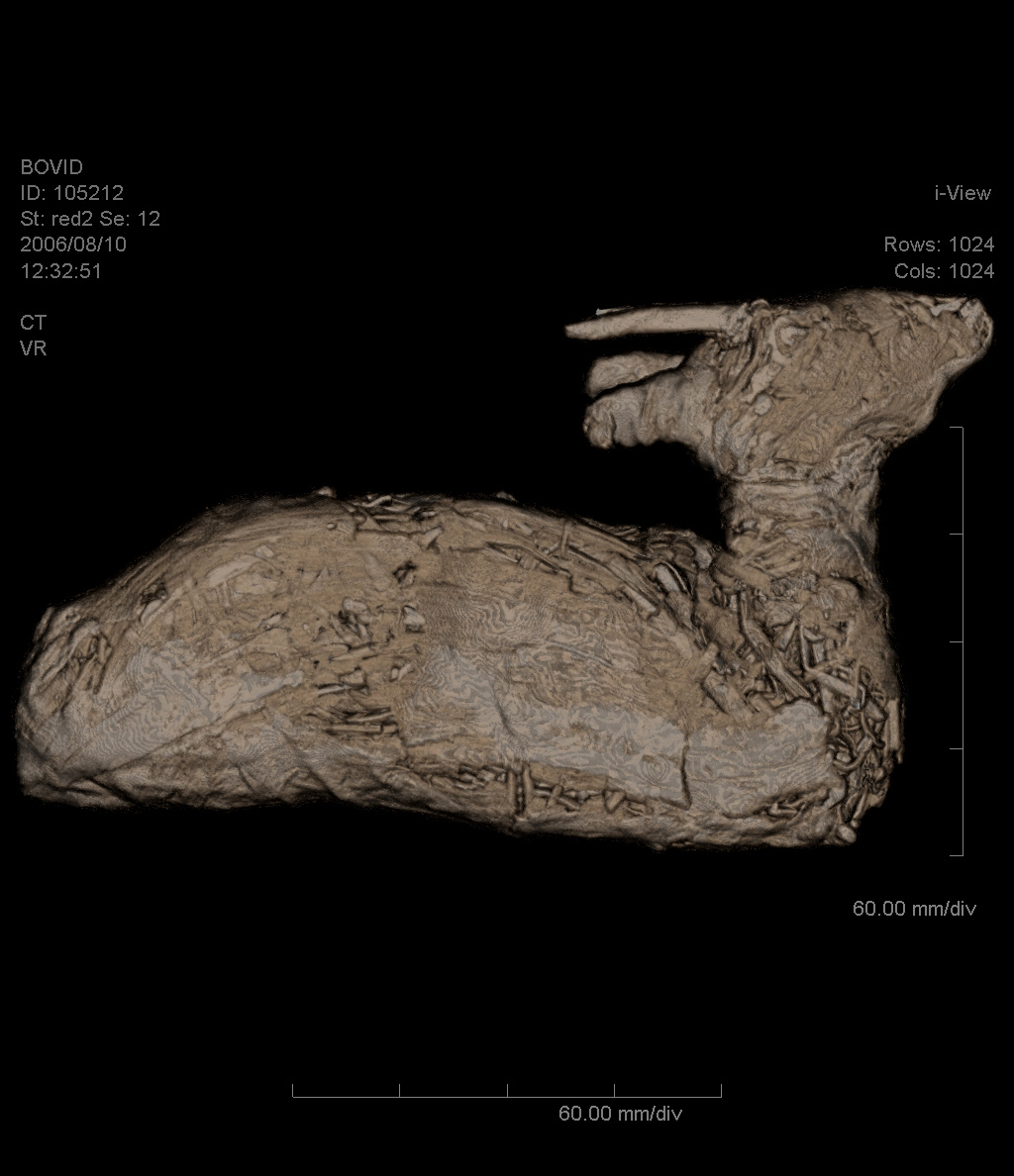 After CT scanning, the slices from the CT scan have been rendered as a volume.  You can see that the wrappings are rendered reasonably faithfully.