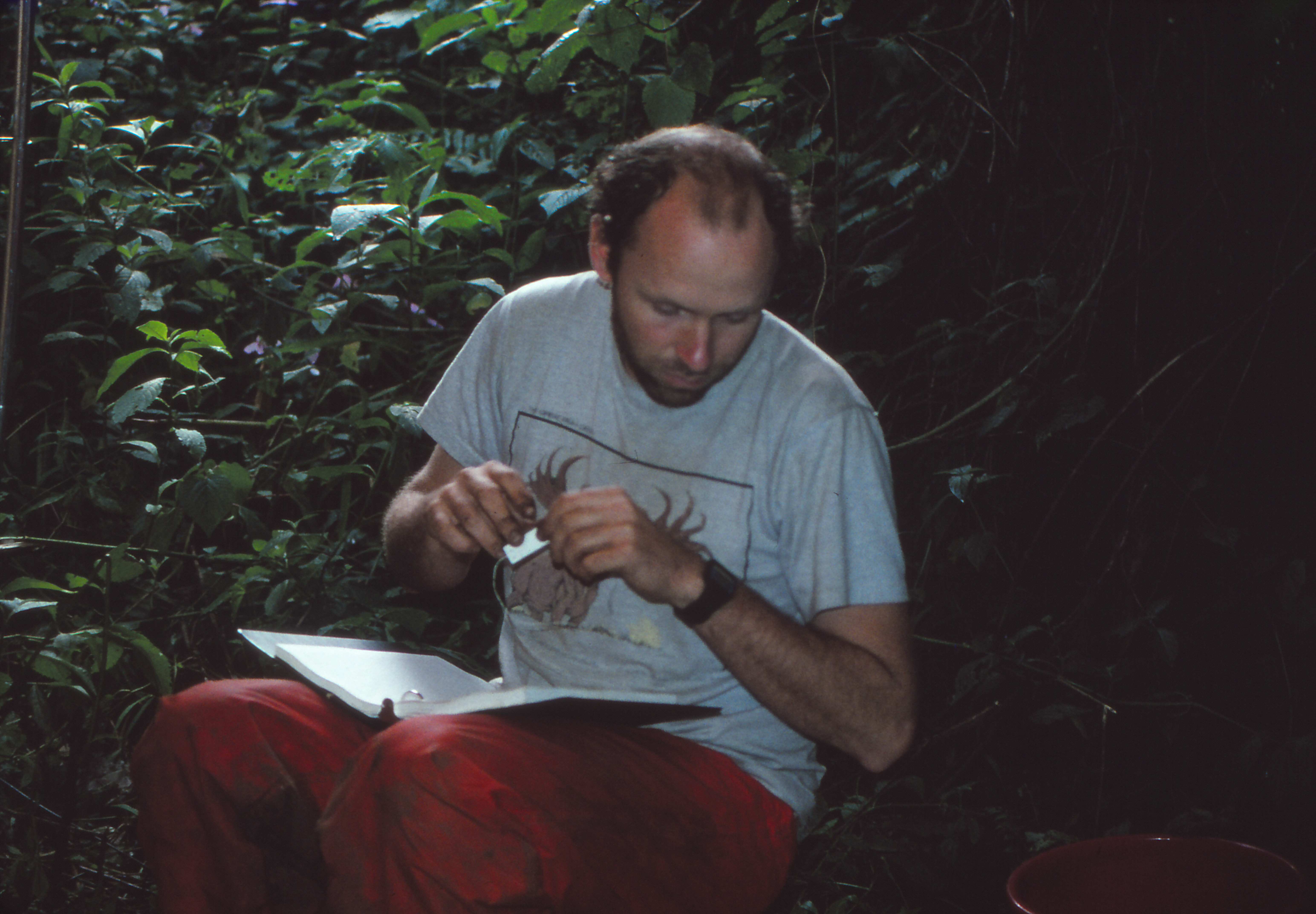 Bill on his first field trip to Africa—the Rwenzori Mountains, Uganda—in fall of 1990. Courtesy of Tom Gnoske.