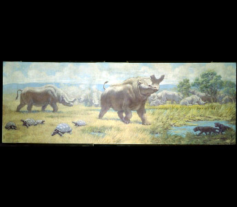 A herd of Brontotherium gather behind a large male who faces off with two flesh-eating Hyaenodon. A group of prehistoric tortoises dots the grassy foreground.