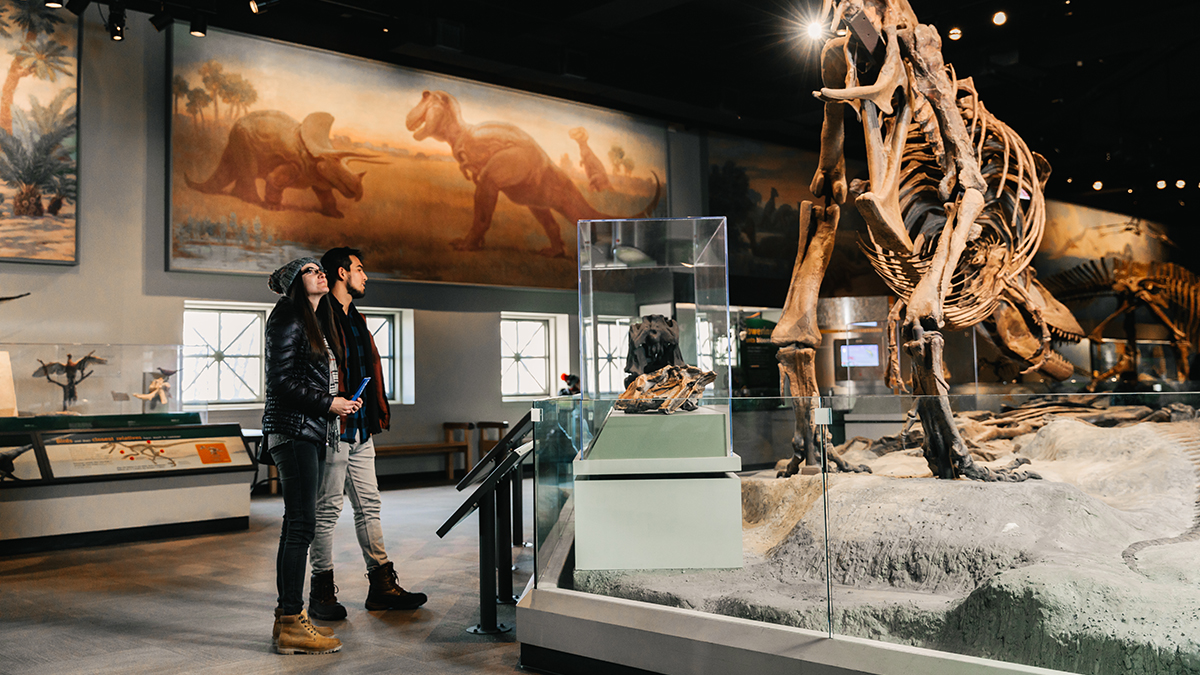 Two people stand, looking at a Daspletosaurus skeleton in the Genius Hall of Dinosaurs. Behind them is Face Off, a mural of a Tyrannosaurus Rex and a Triceratops completed by Charles R. Knight in 1927.