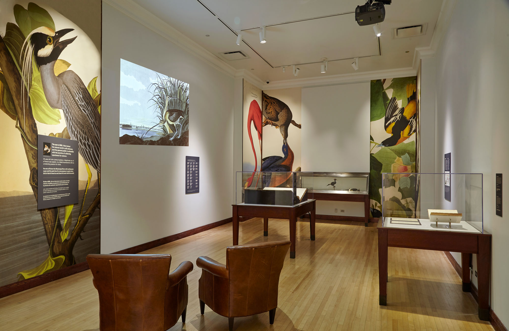 Image for Audubon's Birds of America