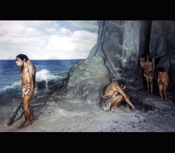Neanderthal family outside the Devil's Tower rock-shelter at Gibraltar with the Mediterranean Sea in the distance. A young man with a wooden club in his hand and the father beside a fire cooking mussels. The mother holds her younger child on her hip and their older son may also be seen in the cave. The Neanderthals are living under a warmer climatie than at Le Moustier.
Credit Information:© 1980 The Field MuseumID# CSA76895_AcPhotographer: Ron Testa