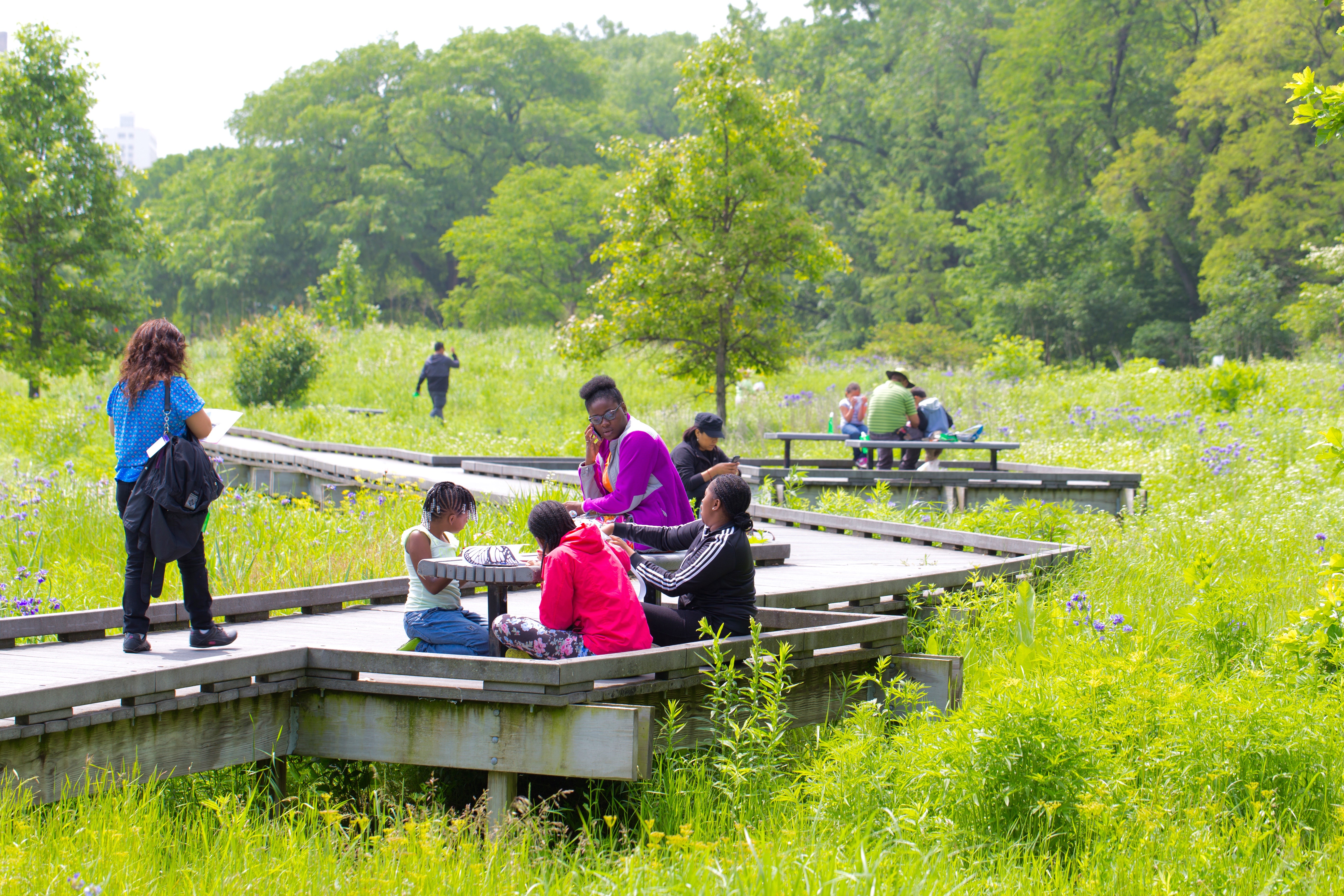 Roots & Routes, Burnham Wildlife Corridor, Habitat Restoration, Community Engagement