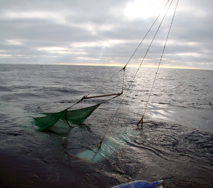 Issacs-Kidd midwater trawl ascending from a depth of greater than 3,800 feet.  As the boat is moving, you put out 2.5 times as much wire as the depth you are trying to sample.  For this trawl, nearly 9,000 feet of cable was released and then pulled back in over a period of nearly three hours.