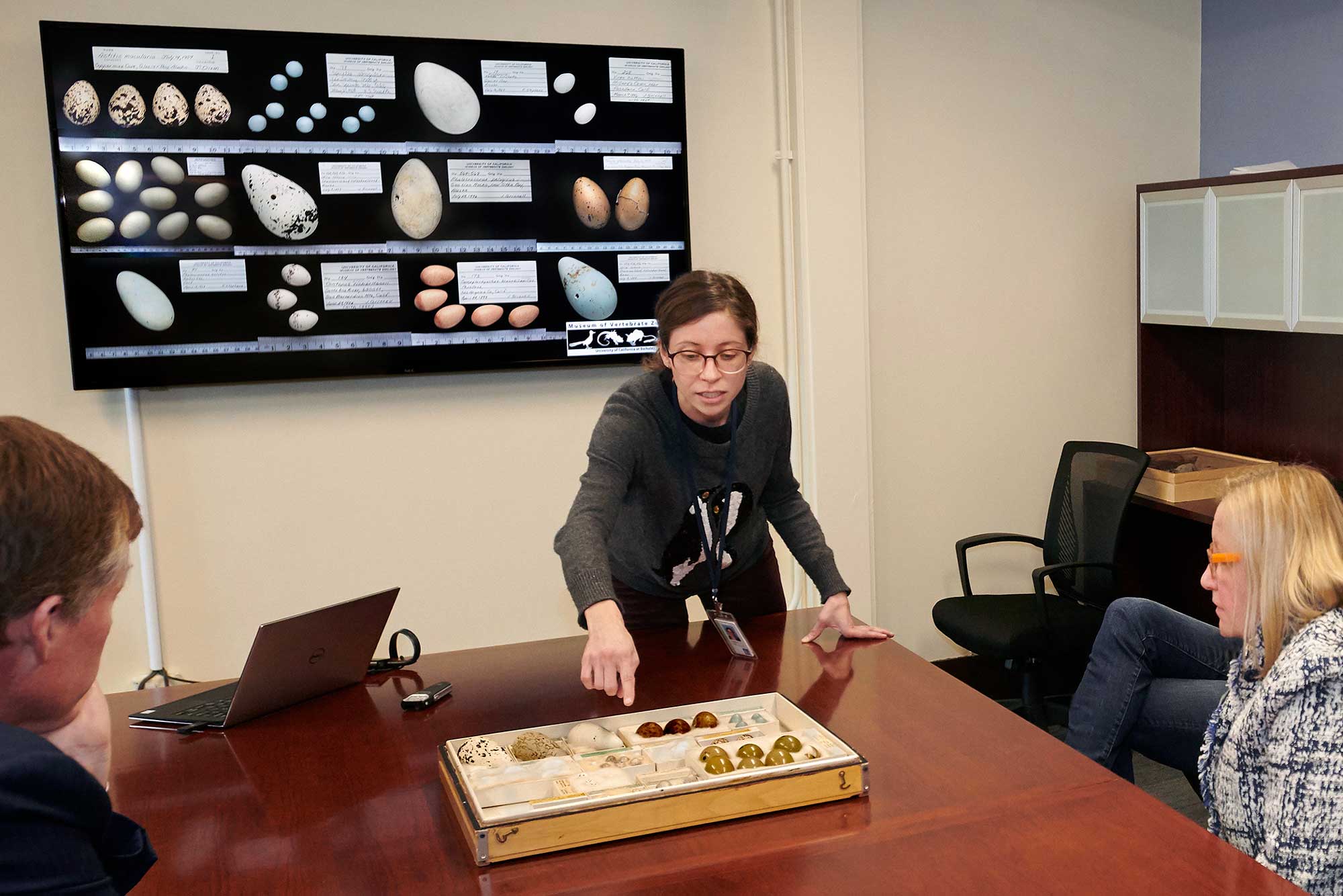 A woman points to egg specimens in a tray while two people look on.