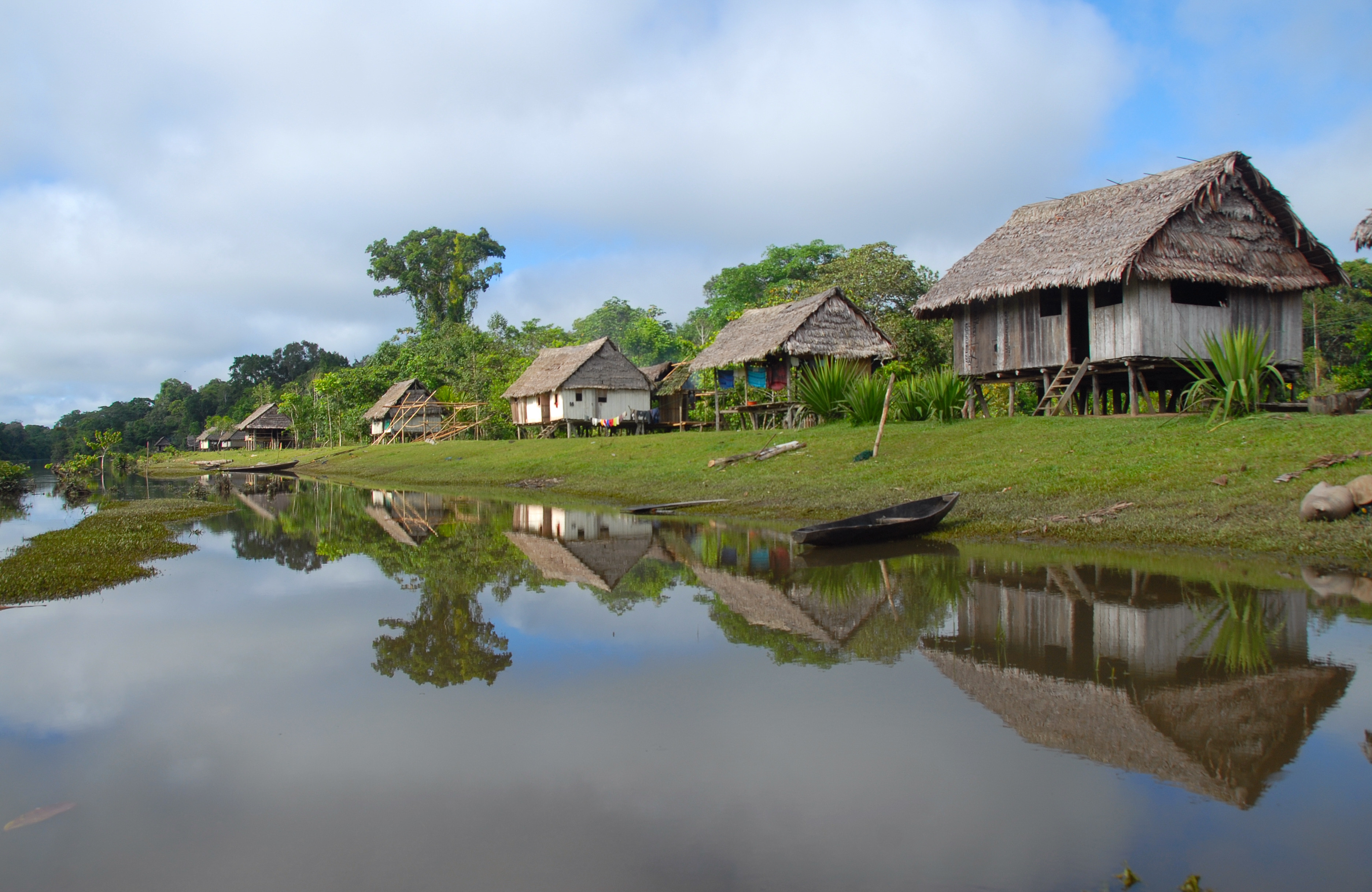 On the 4th of February, 2012, the government of Loreto declared Maijuna a regional conservation area in Peru. The area protects 970,000 acres of Amazonian rainforest, an area bigger than the state of Rhode Island. How did a group of Field Museum scientists play a critical role?
Nueva Vida, one of the four Maijuna communities bordering the new protected area. A. del Campo