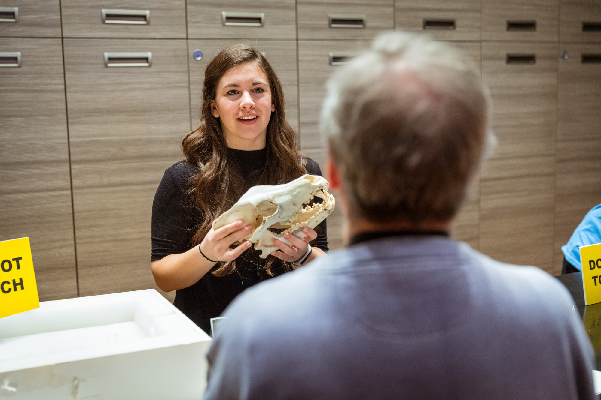A volunteer shares a skull with a visitor to the Grainger Science Hub during a Meet a Scientist Event. The volunteer holds the skull up while speaking with the visitor who is standing directly in front of the volunteer with only the back of their head visible.