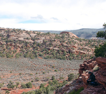 Upper Triassic Chinle Formation in Lisbon Valley, Southeastern Utah. This area was once covered with various streams, rivers, and lakes over 210 million years ago.