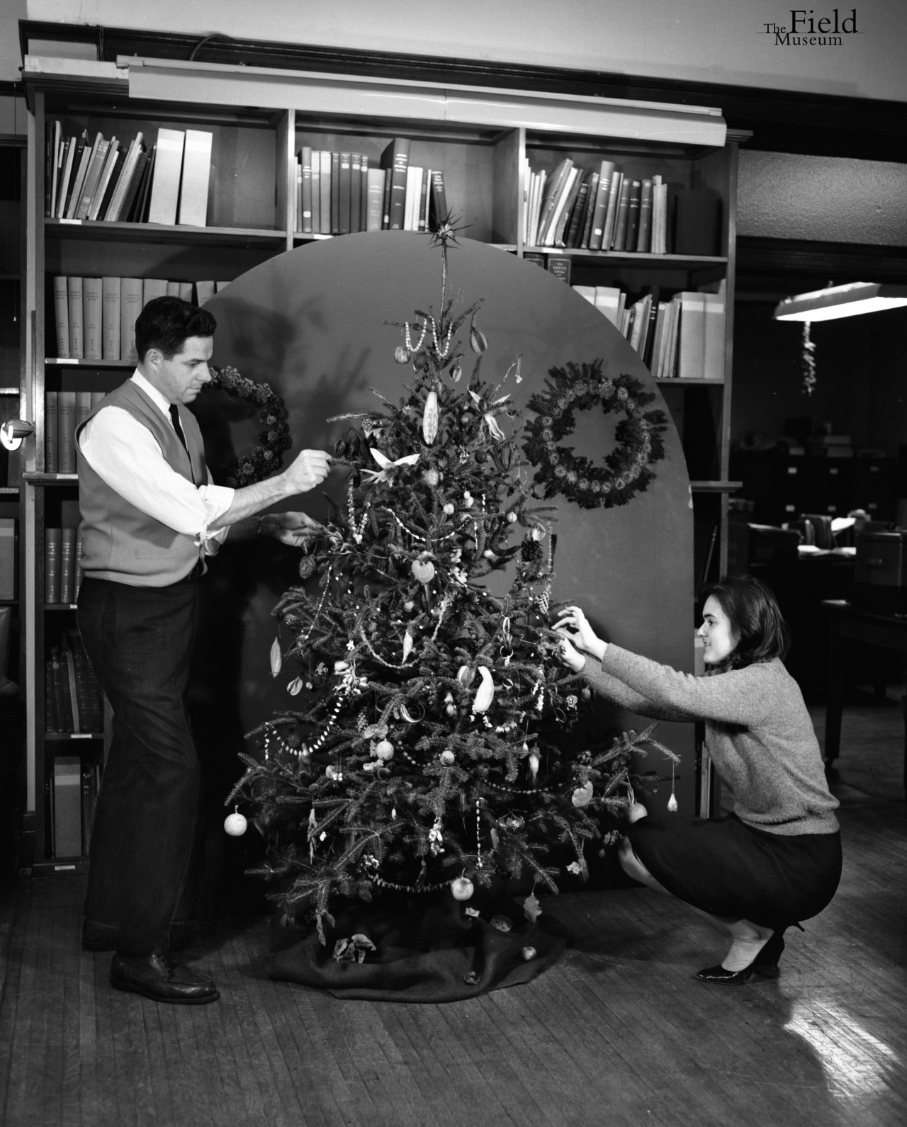 Decorations in the Botany Library in 1966