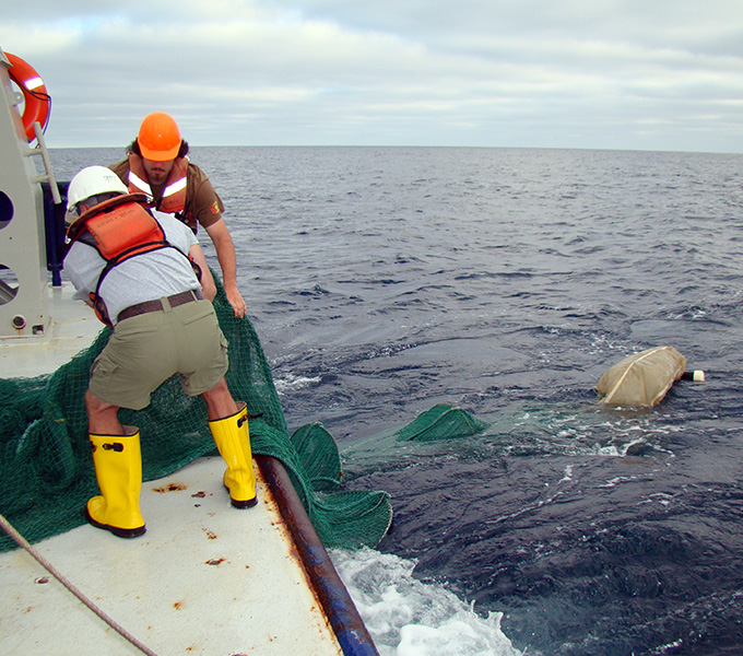 Kevin Swagel and marine technician releasing the net of the Issacs-Kidd Midwater Trawl as the cod end (white PVC tube at end) submerges at the trawl begins to descend to greater than 3,500 feet.