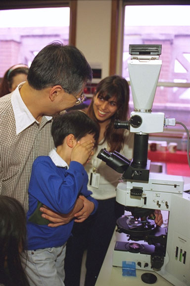 Adults and children in Geology labs looking through microscopes. Members Night 1996.Credit Information:© 1996 The Field MuseumID# GN87836_9AcPhotographer: John Weinstein
