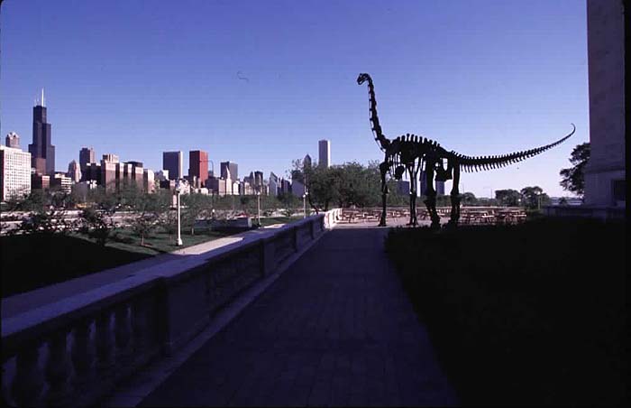 Brachiosaurus cast, on Northwest terrace of the Museum. 2000. It measures 75 feet from nose to tail. Credit Information: © The Field MuseumID# GN89785_9cPhotographer: John Weinstein