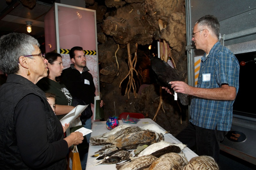 Institutional Advancement and Zoology event. Halloween theme donor event featuring Zoology scientists set up at stations through out Underground Adventure. The scientist stations will have live specimens as well as specimens in jars. (R) Scientist Dave Willard.
© The Field Museum, GN91280_063d, Photographer Karen Bean.