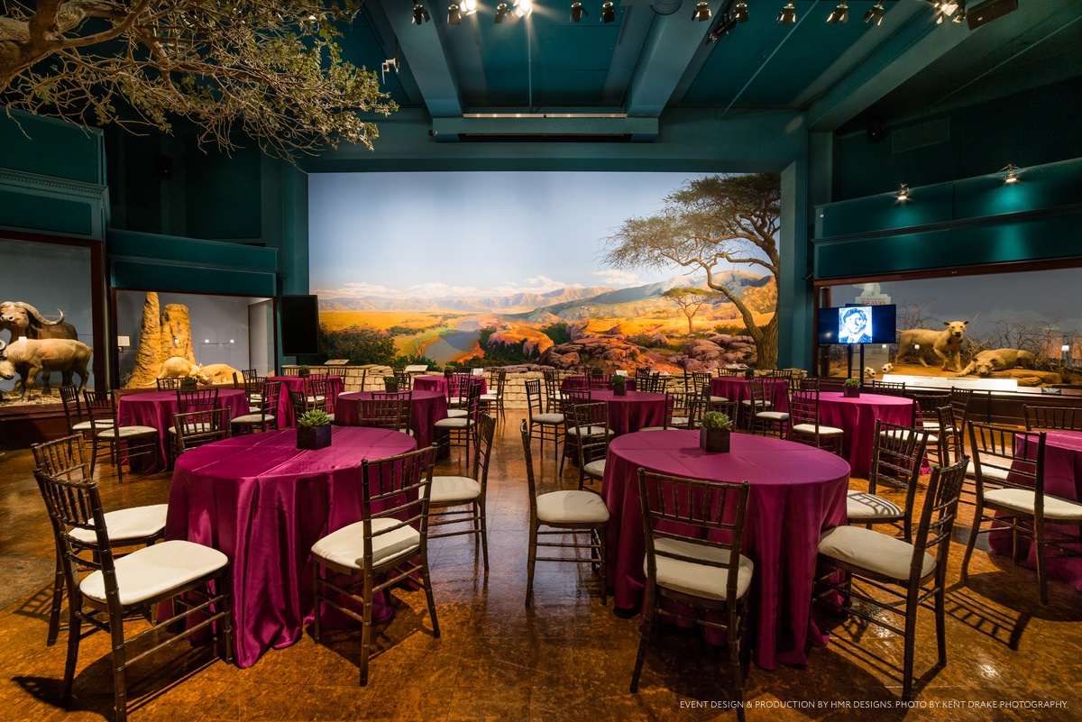 Small circular tables covered by fuchsia tablecloths, each with five chairs set up around them, situated inside Rice Hall. A mural of the Serengeti plains is visible on the back wall, with dioramas on either side.