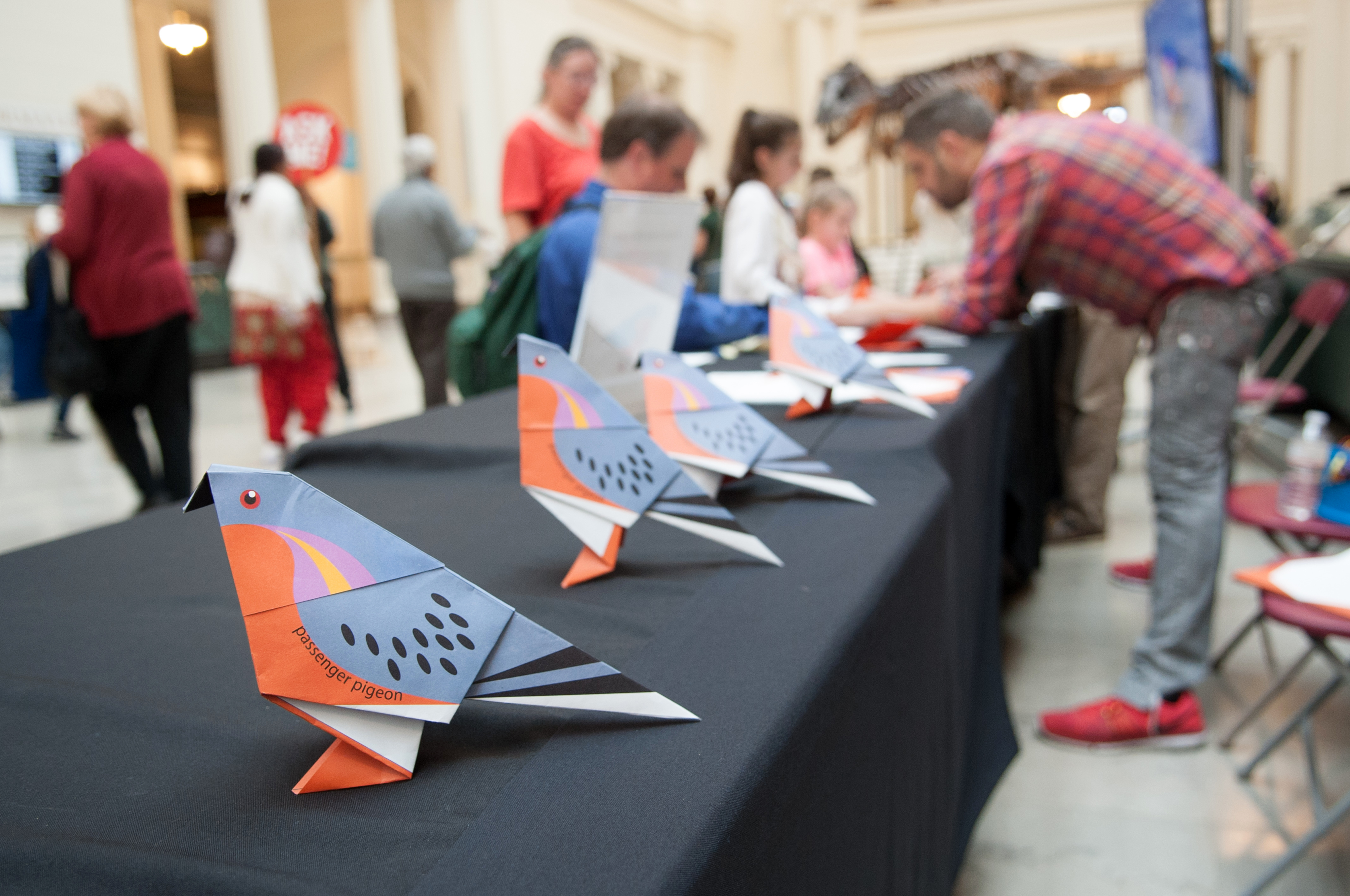 Four origami passenger pigeons rest on a table. In the background a museum staff member helps a visitor make one.