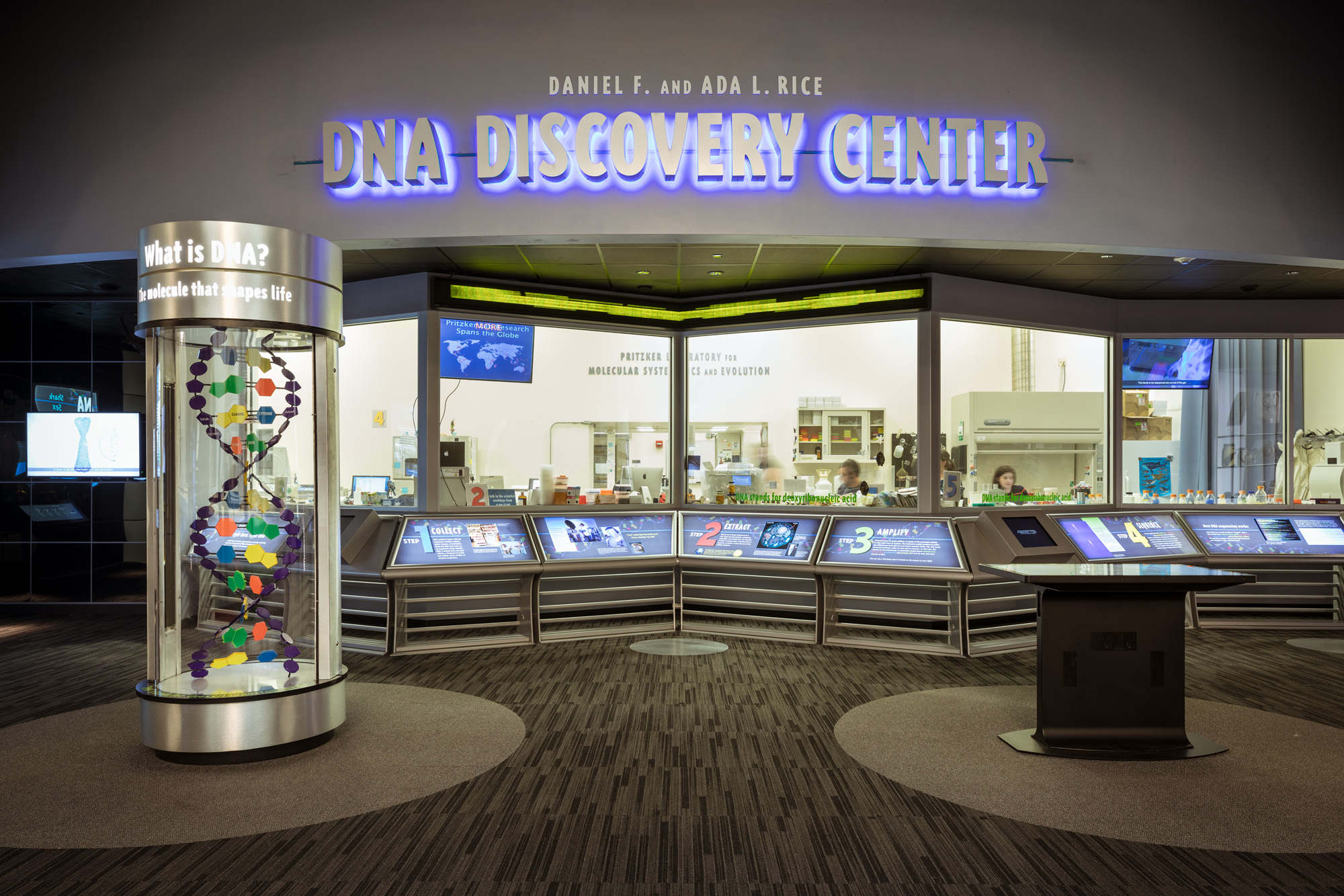 View of the Daniel F. and Ada L. Rice DNA Discovery Center, prominently showing a large model of a DNA double helix and an interactive touchscreen table. Windows in the background look into the Pritzker Laboratory for Evolutionary Biology and Molecular Sy