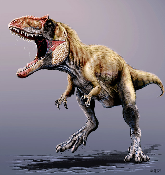 Tyrannosaurus rex might be one species, not three, after all