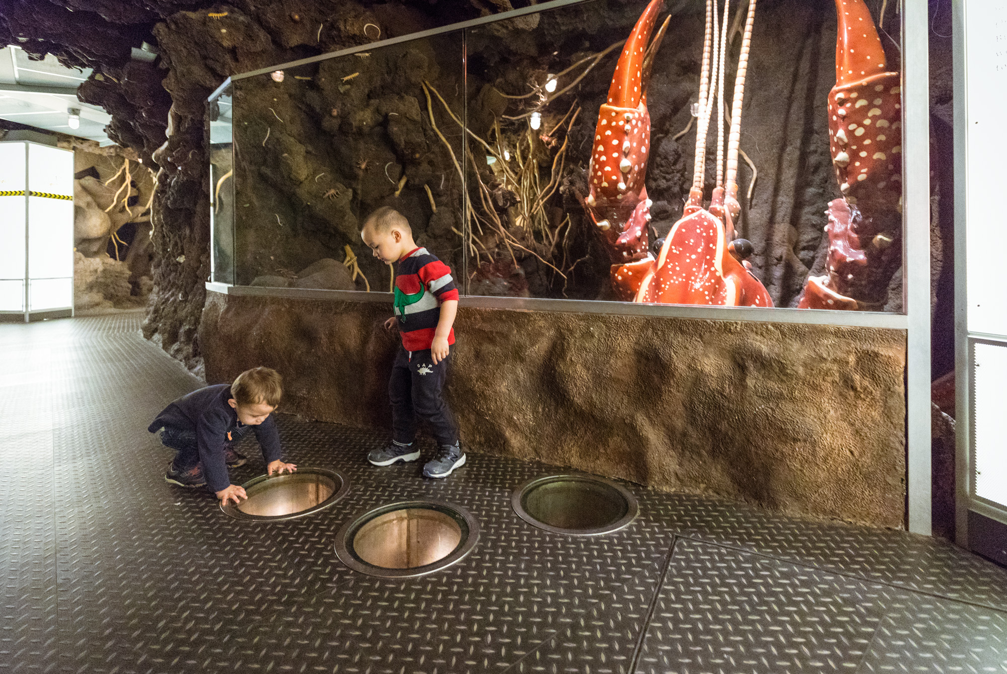Two boys stand in front of a reproduction of a crayfish more than twice their size. The boy to the left crouches, looking down into a window cut in floor. Recreated soil and roots are visible behind them.