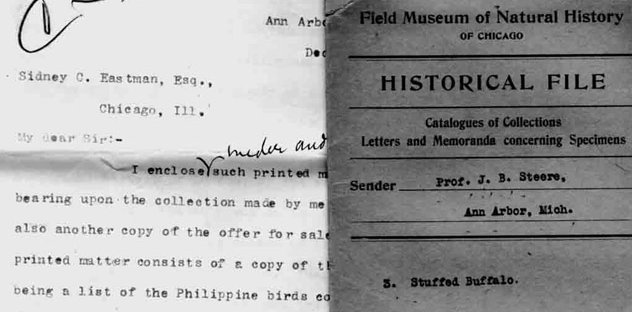 Historic documents from the Museum Archives