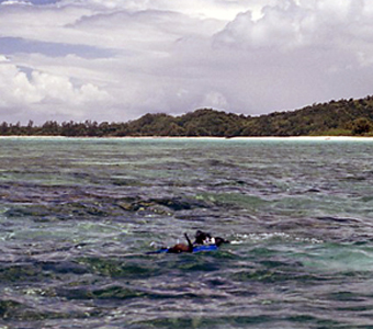 Snorkeling for marine fishes in Madagascar.