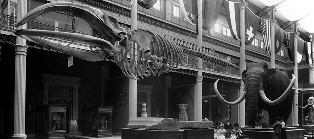 Image for Photo Archives - Urban Landscapes