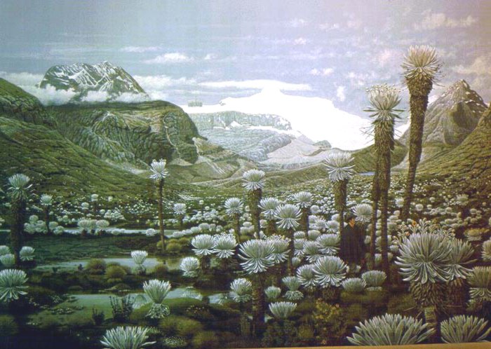 Espelitas Paramo in High Andes, Colombia. Painting by Arthur G. Rueckert.
Credit Information:
© The Field Museum
ID# B80317c
Photographer unknown