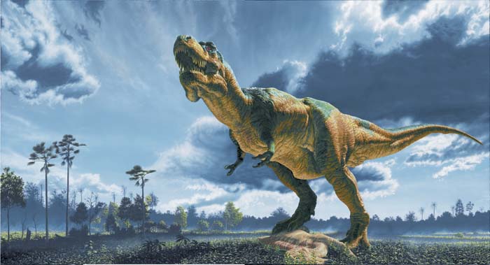 John Gurche painting of fleshed-out Tyrannosaurus Rex (T.rex).Credit Information:© 2000 The Field MuseumID# GN89907cPhotographer: unknown