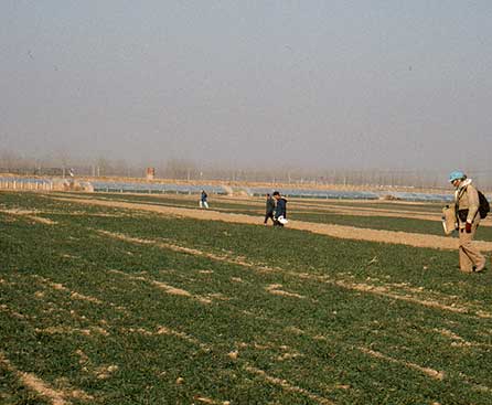 Archaeological field survey in Shandong, China. photo by L. Nicholas.