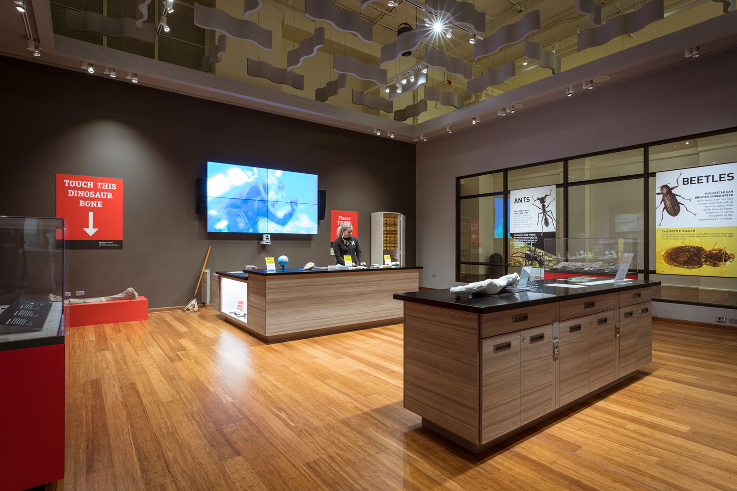 View of the Grainger Science Hub, showing two counters with objects displayed on each one. A museum educator stands behind the further counter.