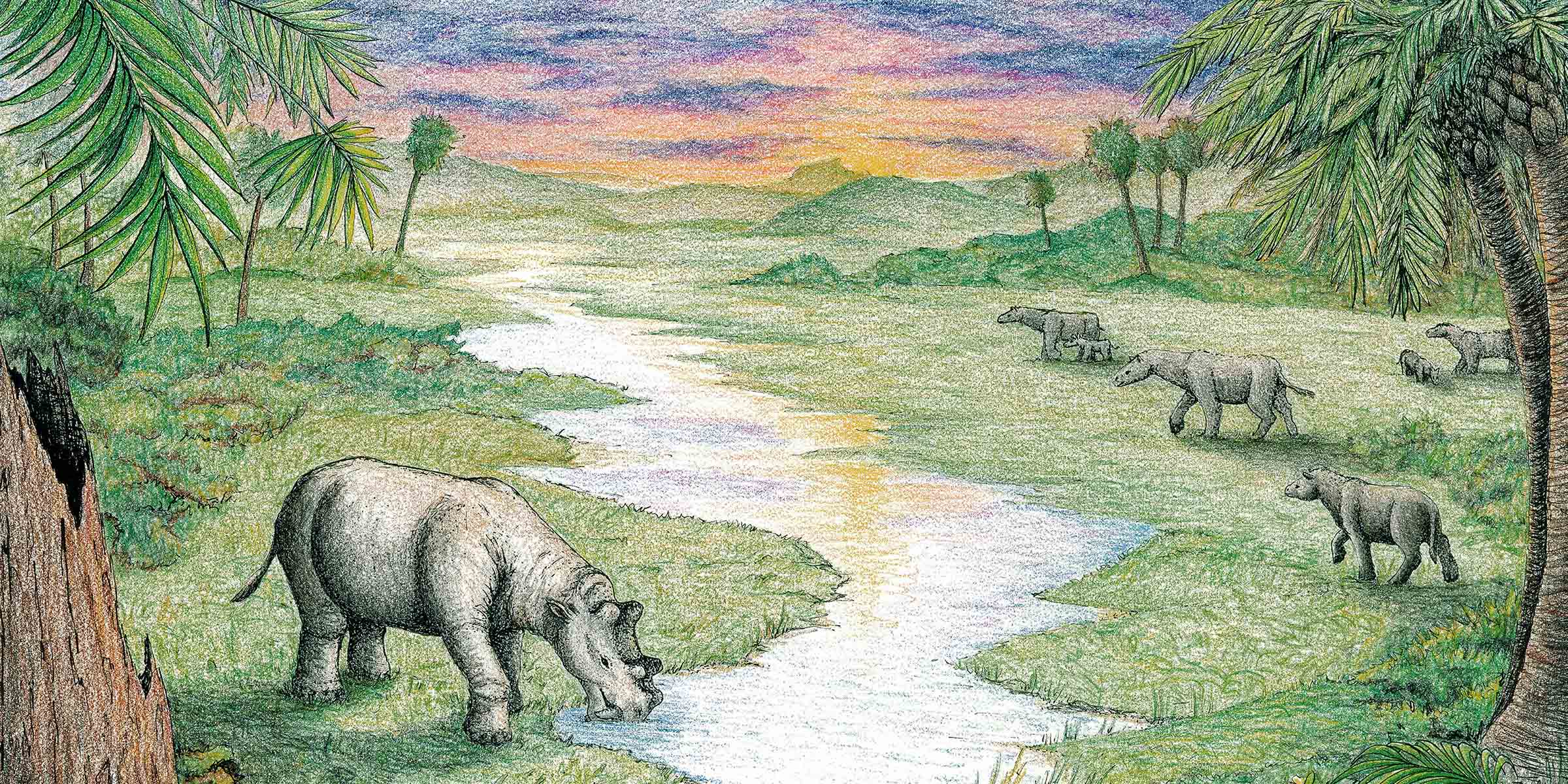 Colorful illustration of a landscape with palm trees, a stream, and rhino-like animals in front of a sunset