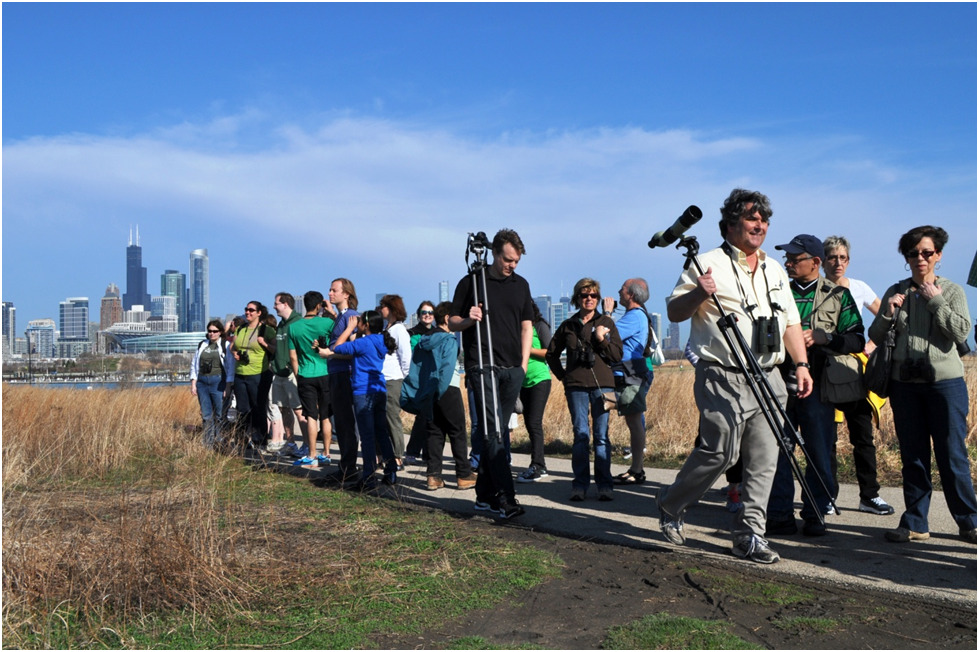 Northerly Island Bird Walk