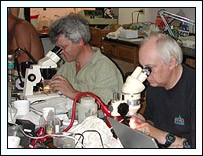 Diarmaid Ó Foighil, Graham Oliver, and Johanna Järnegren work in dry lab at KML.