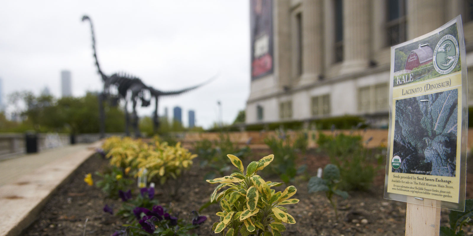 Image for Edible Treasures Garden