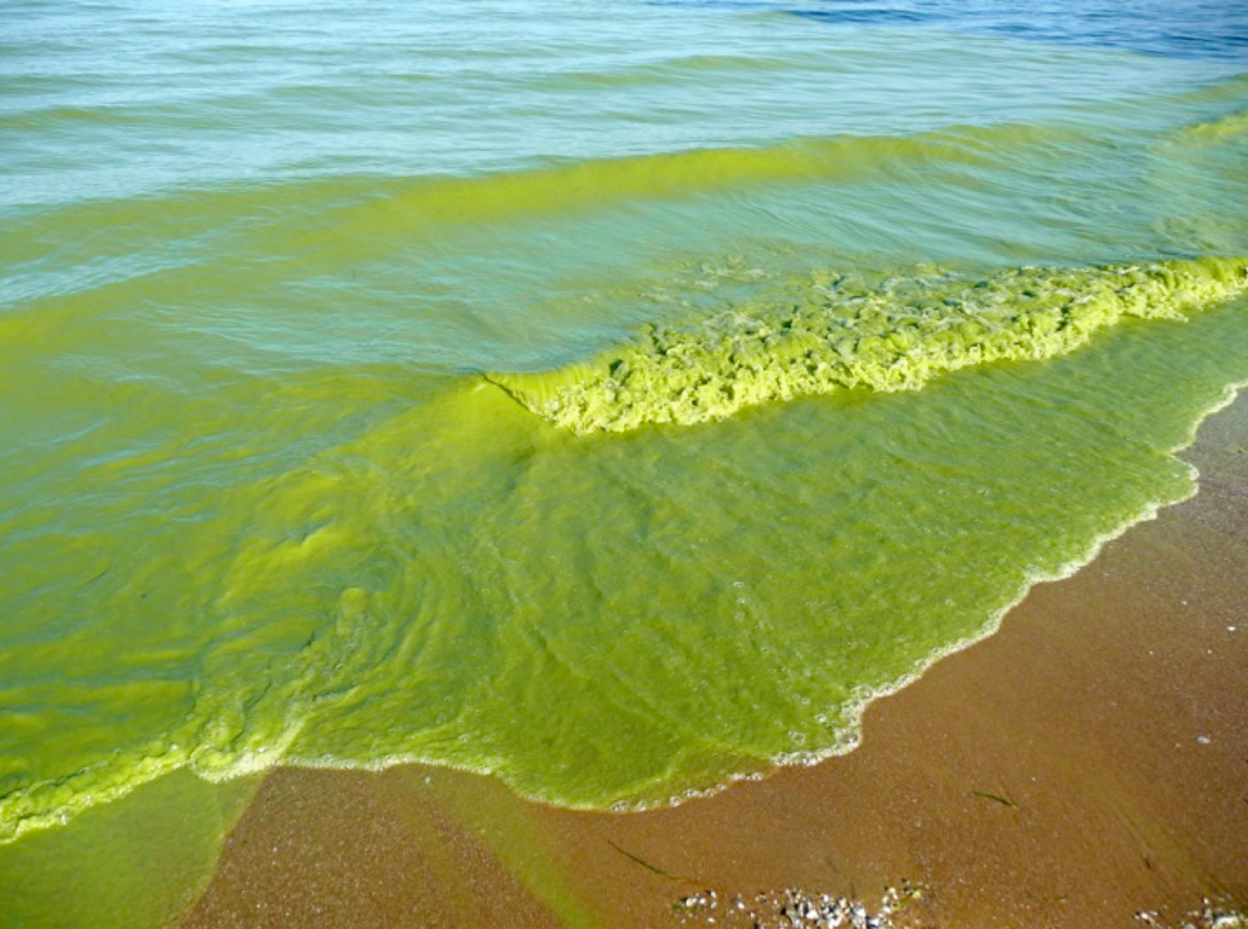 Green water washing up on sand
