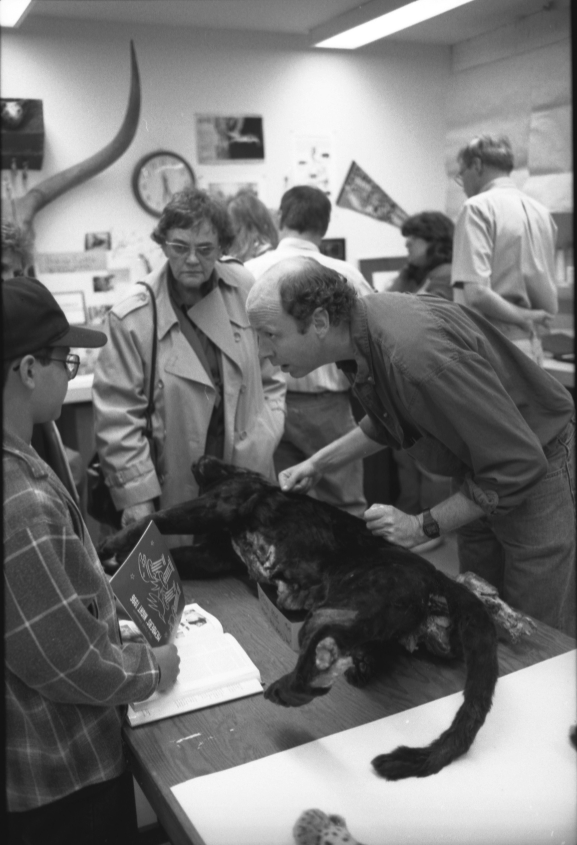 Members’ Night 1996, in the Mammals/Birds prep lab on the 3rd floor. Field Museum photo by Robert Weiglein. GN87839_33.