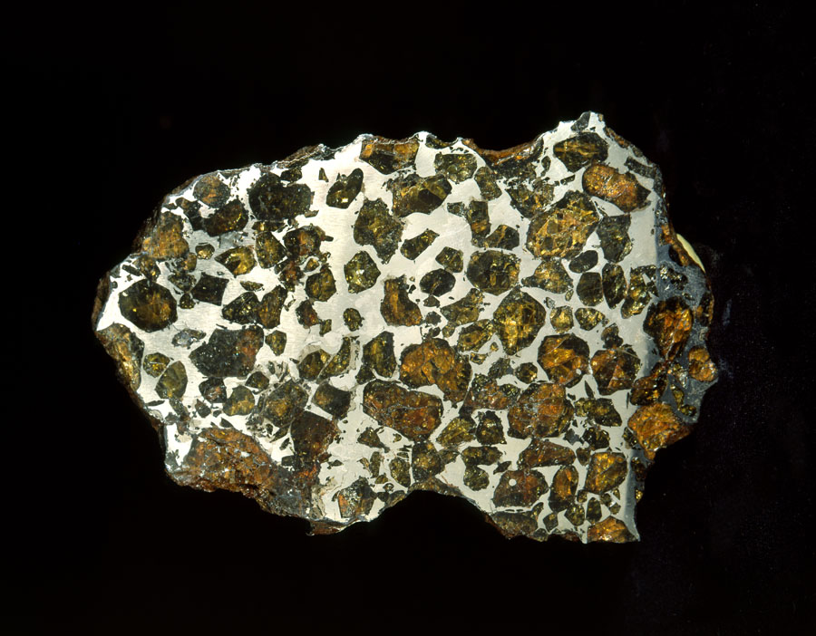 Meteorite slice.Credit Information:© 1985 The Field MuseumNeg. # GEO84844cPhotographer: Ron Testa