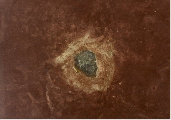 Image for Fossil Meteorites Arrive at The Field Museum