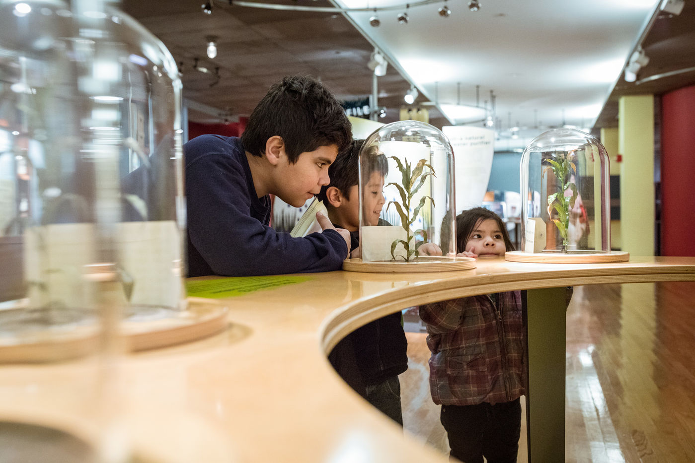 Curious kids take a close look at plant life.