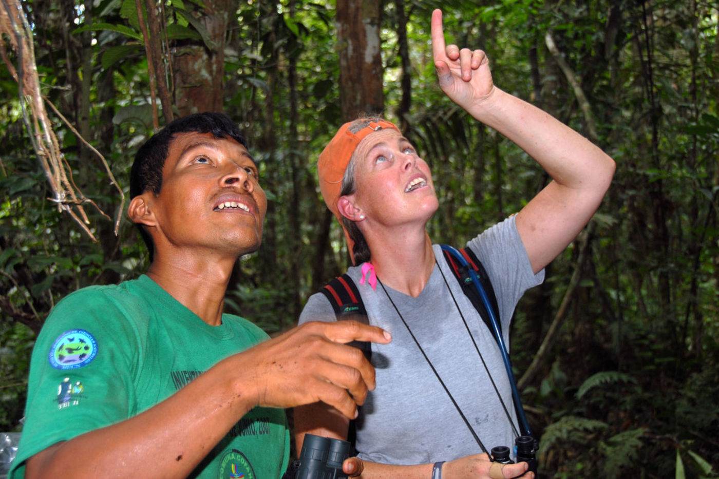 Museum and local scientists perform rapid inventories in the Amazon rainforest to gather information about as many of the plants and animals living there as possible.